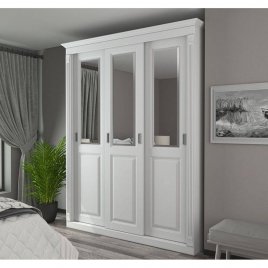 Шкаф-купе Афина 31