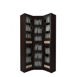 Книжный угловой шкаф Млайн 46