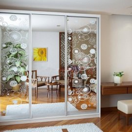 Шкаф-купе Альбина 8