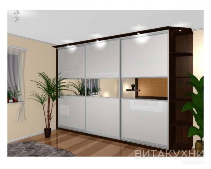 Шкаф-купе Рамир 5