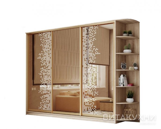 Шкаф-купе Лагуна-47