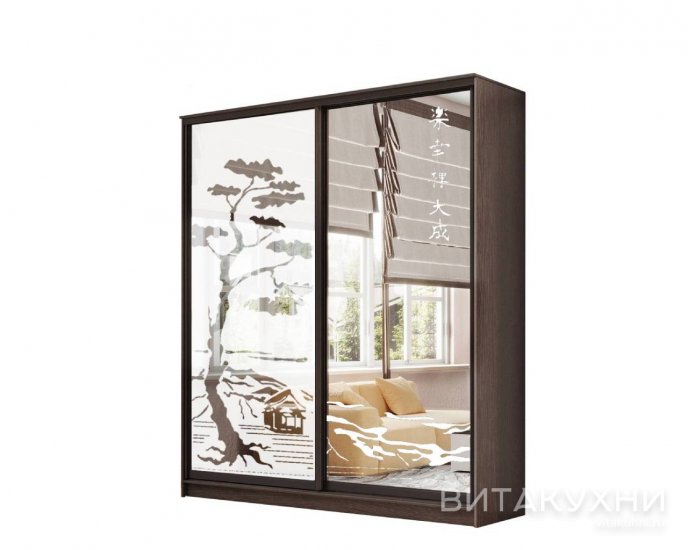 Шкаф-купе Лагуна-23