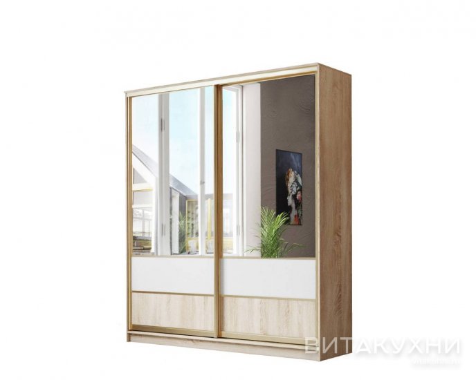 Шкаф-купе Лагуна-16