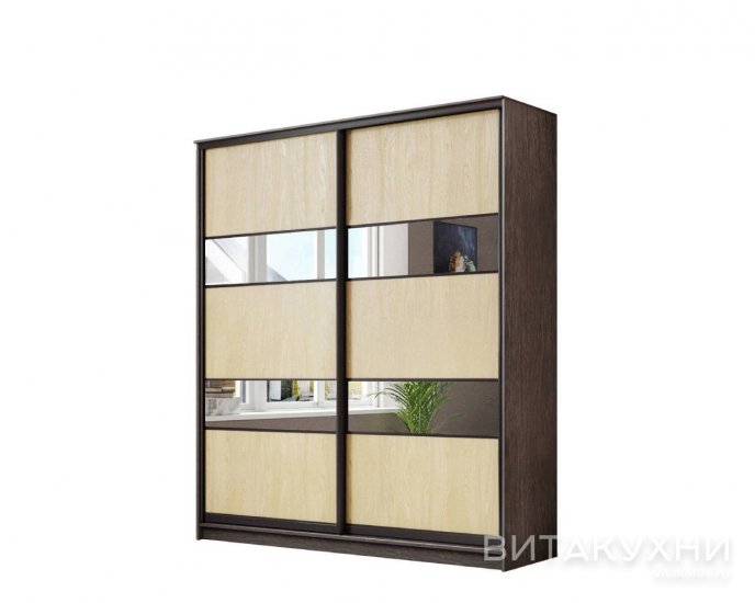 Шкаф-купе Лагуна-44