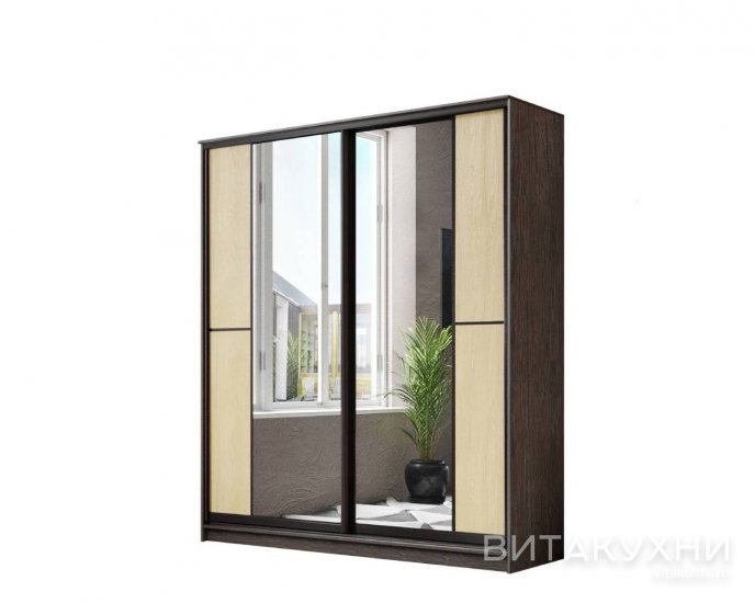 Шкаф-купе Лагуна-34