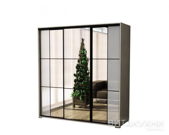 Шкаф-купе Элли-20