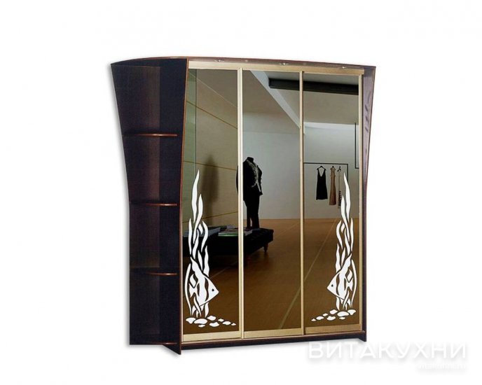 Шкаф-купе Стиль 13