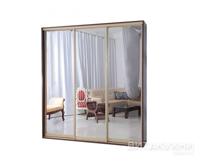 Шкаф-купе Титан 9