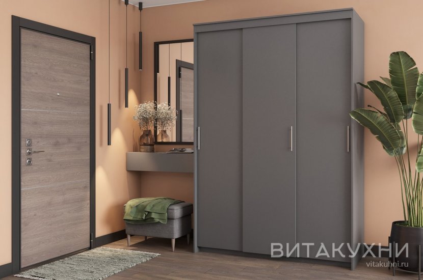 Шкаф-купе Тебар 3