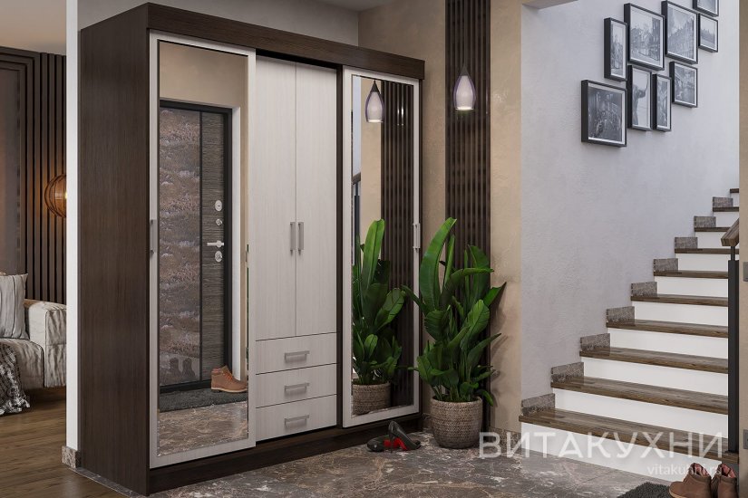 Шкаф-купе Лидер 2