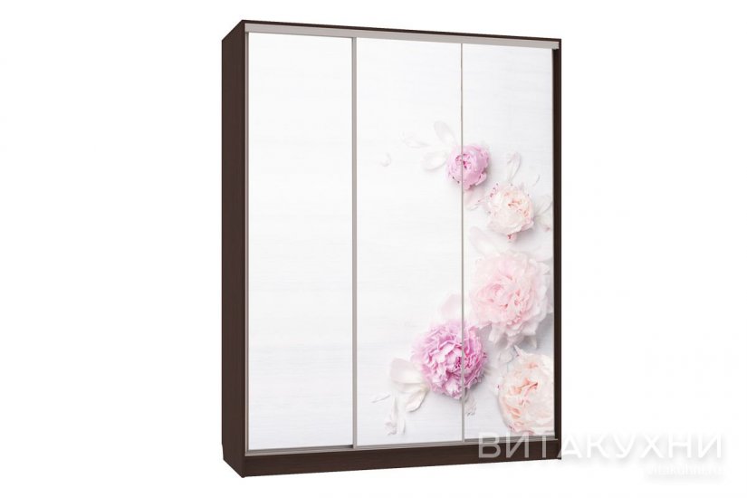 Шкаф-купе Бассо 717