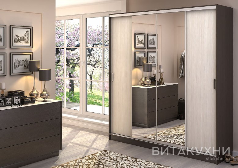 Шкаф-купе Альянс 2