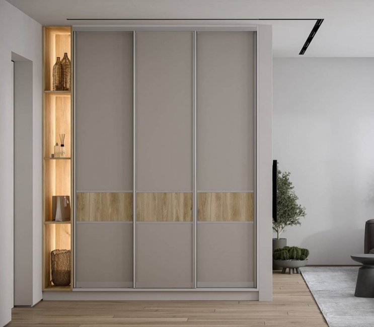 Шкаф-купе Ms 110