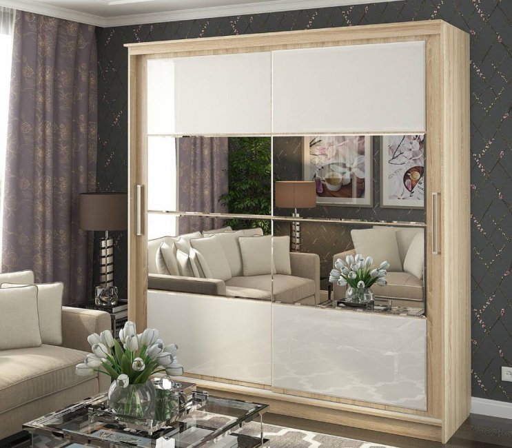 Шкаф-купе Танго 2