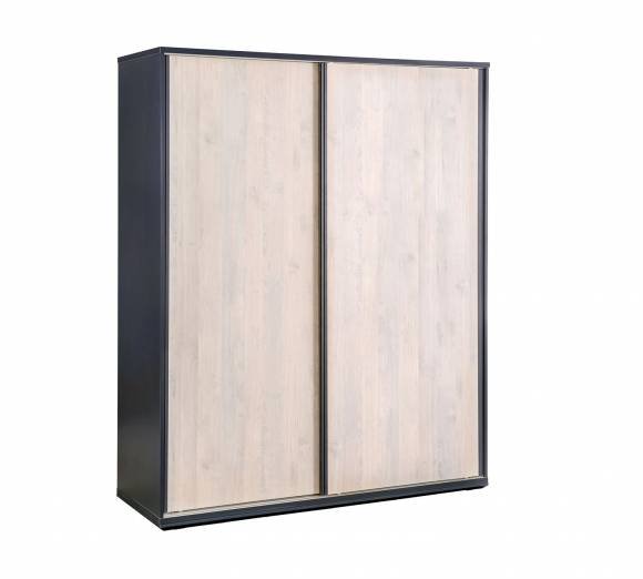 Шкаф-купе Trio 20