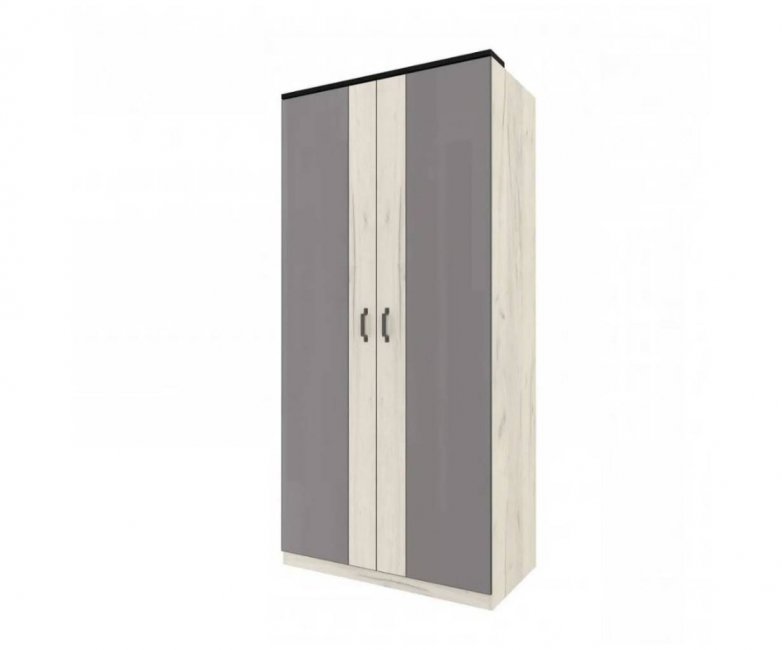 Шкаф распашной Техно-2