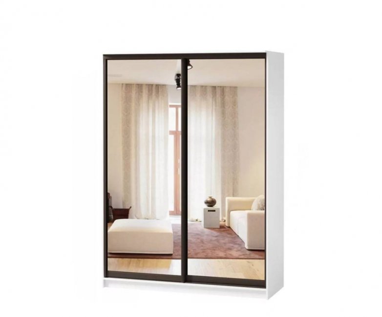 Шкаф-купе Борнео-2-5