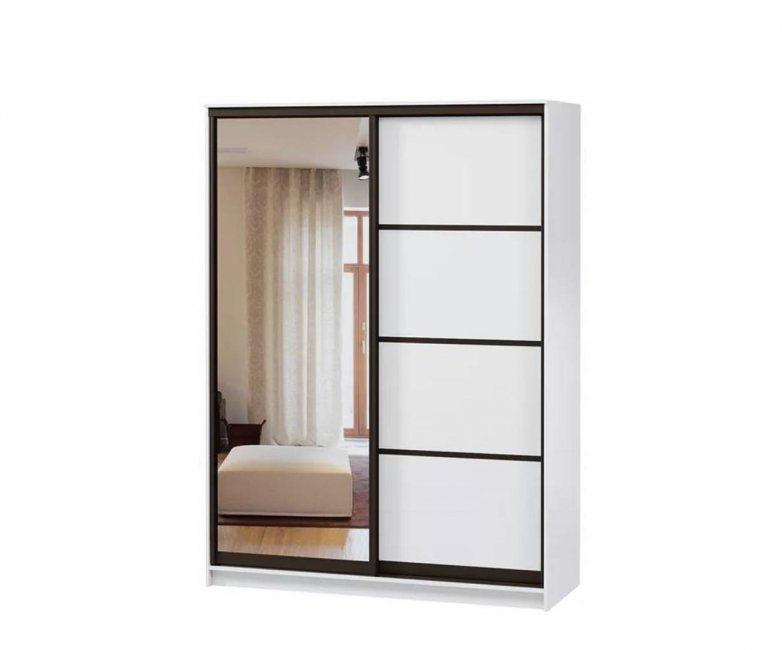 Шкаф-купе Борнео-2-2