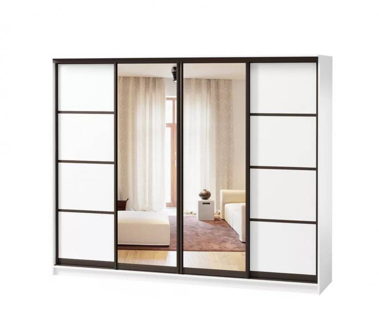 Шкаф-купе Борнео-4-2