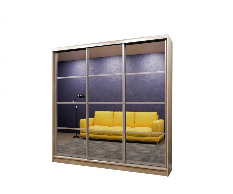 Шкаф-купе Диас 3.5