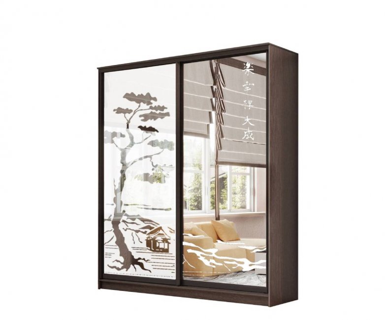 Шкаф-купе Лагуна-23