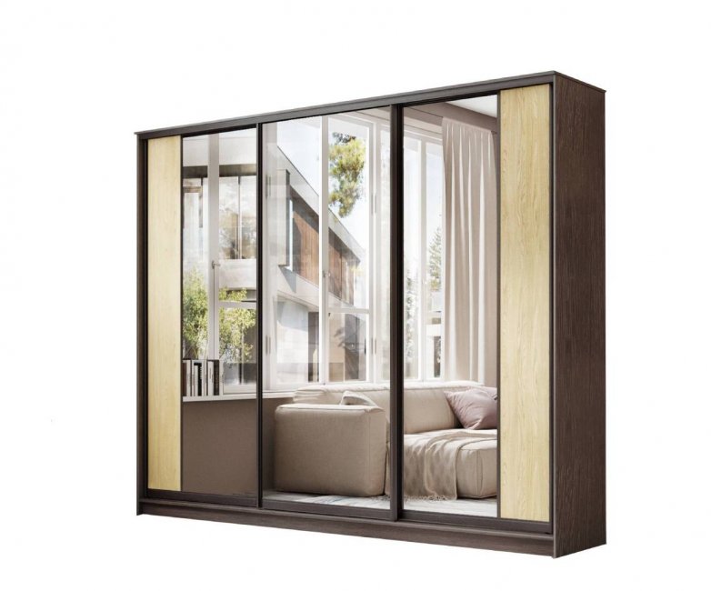 Шкаф-купе Лагуна-7