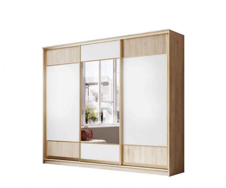 Шкаф-купе Лагуна-10