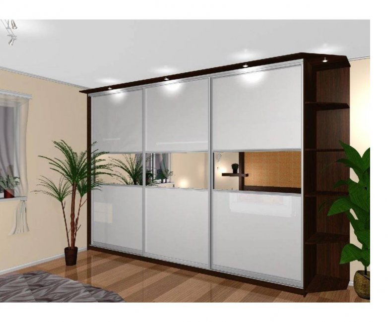 Шкаф-купе Рамир 5