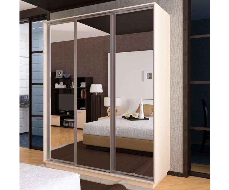 Шкаф-купе Ника 5