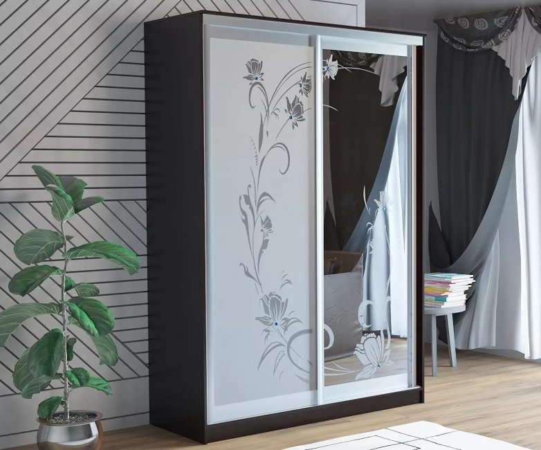 Шкаф-купе ПШ 29