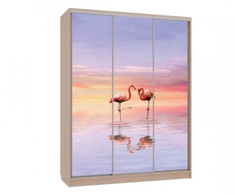 Шкаф-купе Бассо 716